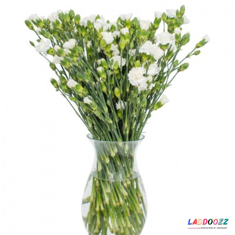 White Spray Carnations for Home or Office